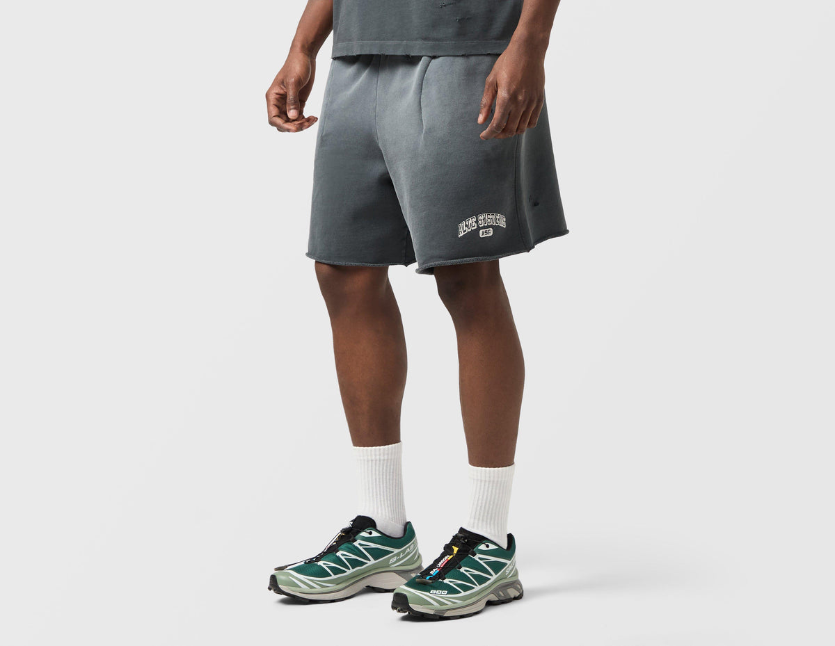 Alte Systems Analog Shorts