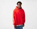 Nike SB Motion Hoodie